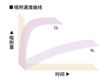 Adsorption characteristics of CMS