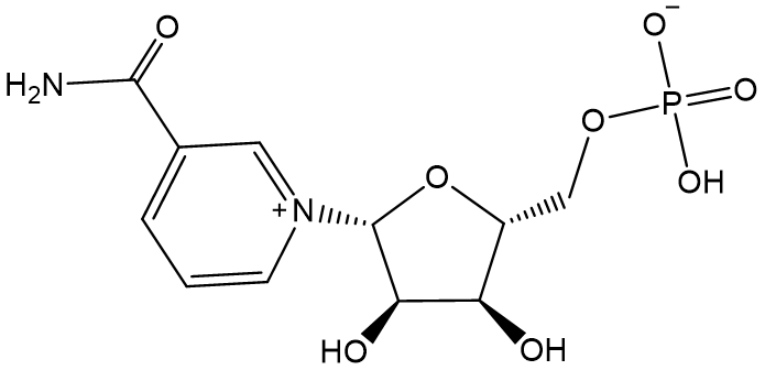 β-NMN